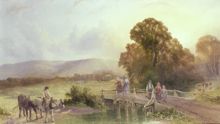 Les Downs à Midhurst